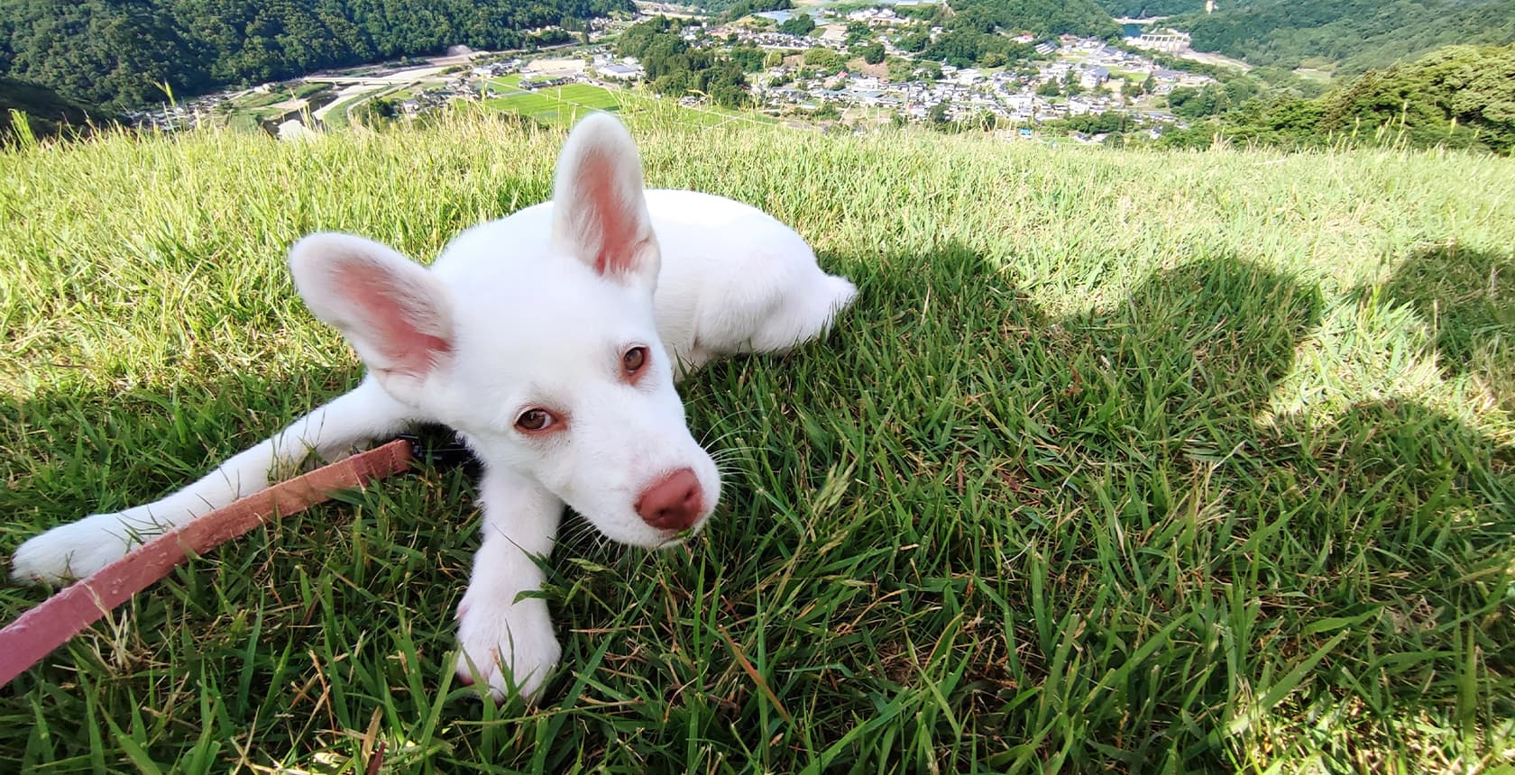 当農園のご案内